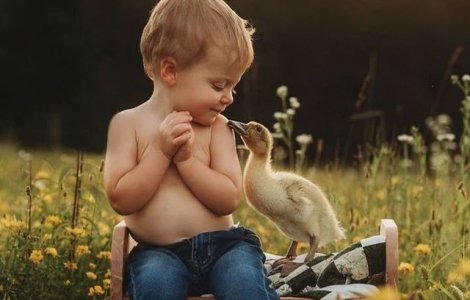  Top  12 imagini care demonstrează iubirea necondiționată dintre copii și animale
