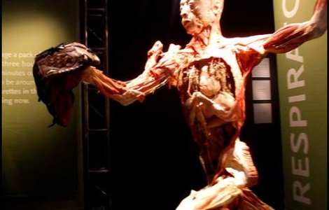 VIDEO: Primul muzeu dedicat corpului uman