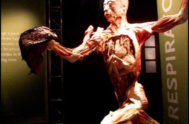 VIDEO: Primul muzeu dedicat corpului uman