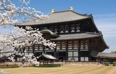 Japonia: Guvernul de dreapta a demisionat pentru a transfera puterea unui partid de centru-stanga