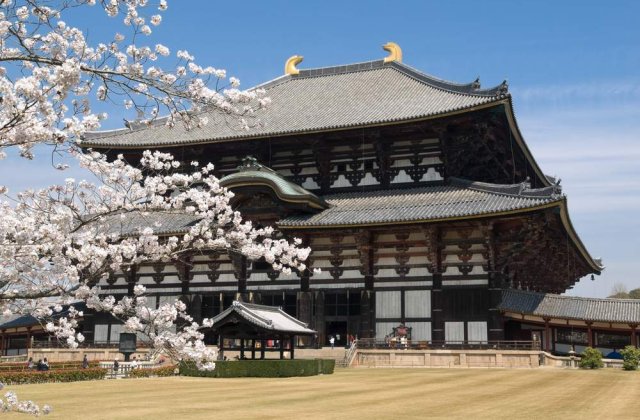 Japonia: Guvernul de dreapta a demisionat pentru a transfera puterea unui partid de centru-stanga