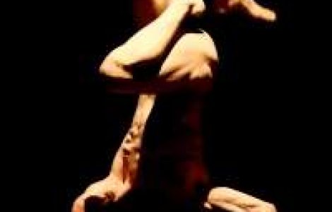 'Bai, efemerule!' Incepe Platforma Dansului Contemporan Romanesc