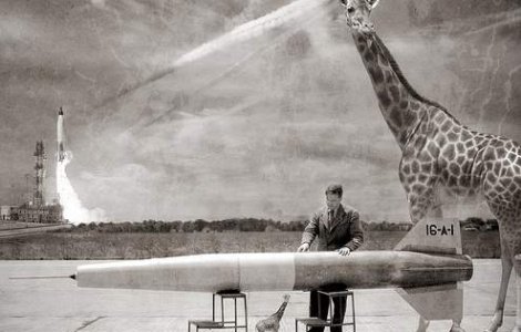 Girafa din filmul Ace Ventura a murit