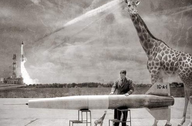 Girafa din filmul Ace Ventura a murit