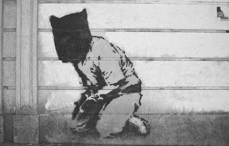 SUA va inchide centrul de detentie Guantanamo in ianuarie 2010