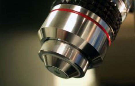  Top  Recunosti alimentul? 10 produse alimentare privite la microscop