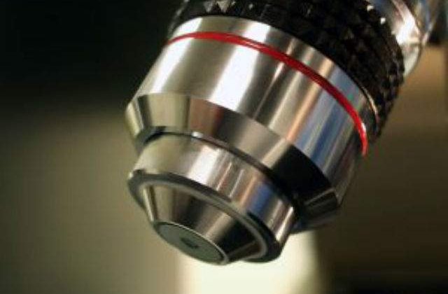 Recunosti alimentul? 10 produse alimentare privite la microscop