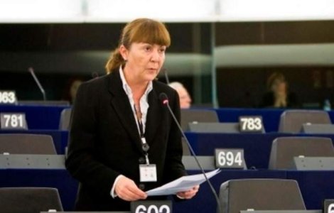 Macovei, despre candidatii la sefia PDL: Nici Blaga, nici Udrea nu pot reforma partidul