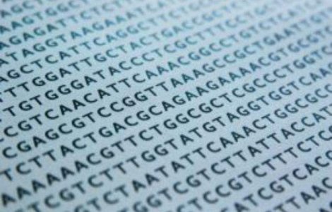 CE cere statelor UE sa efectueze teste ADN pe produsele din carne de vita