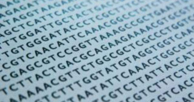 CE cere statelor UE sa efectueze teste ADN pe produsele din carne de vita