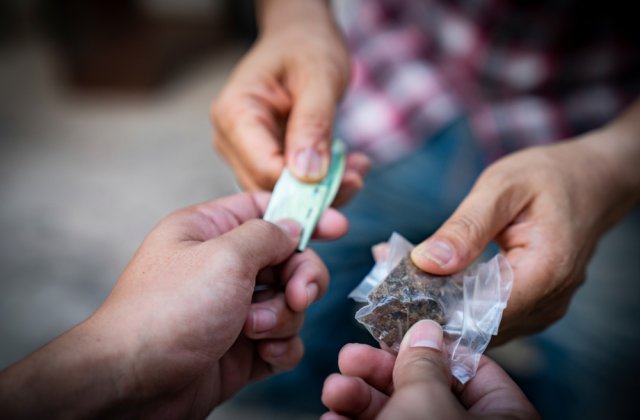 Traficanți prinși de DIICOT după ce au v&acirc;ndut cannabis elevilor din București și D&acirc;mbovița