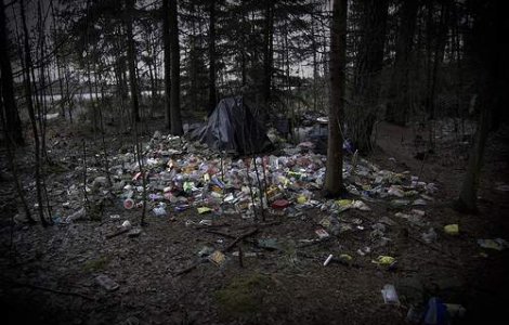 ONG-urile de mediu se vor alia pentru cel mai mare proiect ECO din istoria Romaniei