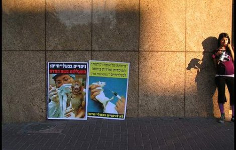 VIDEO: Cum oprim testele pe animale?