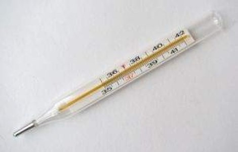 Franta, cea mai afectata de gripa porcina