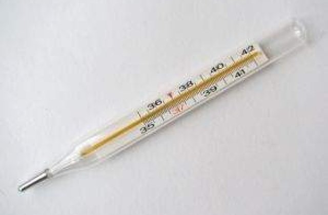 Franta, cea mai afectata de gripa porcina