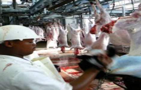 Toate tarile UE vor verifica din martie corectitudinea etichetarii produselor din carne