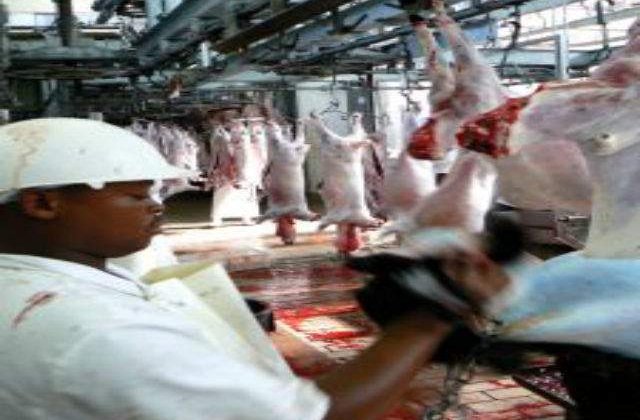 Toate tarile UE vor verifica din martie corectitudinea etichetarii produselor din carne