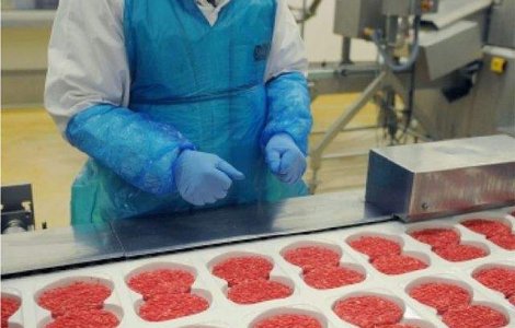 "Spanghero", principalul vinovat in scandalul carnii de cal