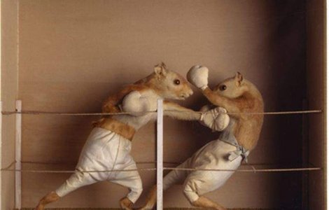  Top  TOP 10: Cele mai neobisnuite scandaluri intre vedete!