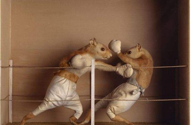 TOP 10: Cele mai neobisnuite scandaluri intre vedete!