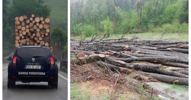 USR prezintă dovada: s-a FURAT ca în codru din păduri în starea de urgență