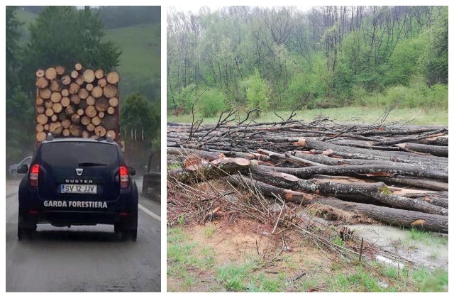 USR prezintă dovada: s-a FURAT ca în codru din păduri în starea de urgență