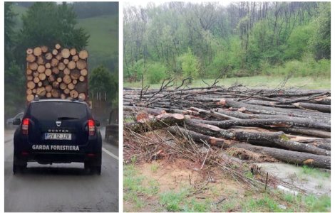 USR prezintă dovada: s-a FURAT ca în codru din păduri în starea de urgență