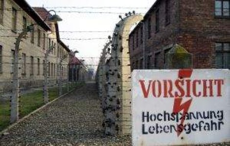 Marturii in imagini despre Holocaust, scoase la vanzare pe eBay