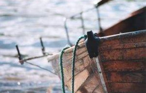 Canotaj: Romania a cucerit medalia de aur la dublu rame