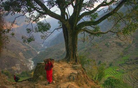 O bucata de Everest, cadou pentru Obama