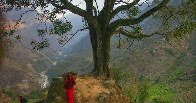 O bucata de Everest, cadou pentru Obama