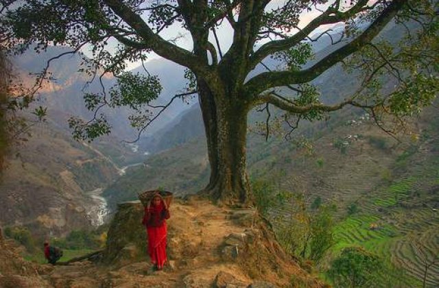 O bucata de Everest, cadou pentru Obama