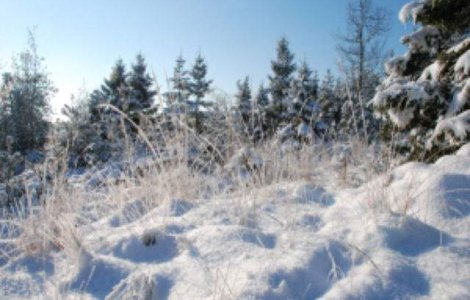 Mii de turisti se afla in acest week-end in statiunile de pe Valea Prahovei