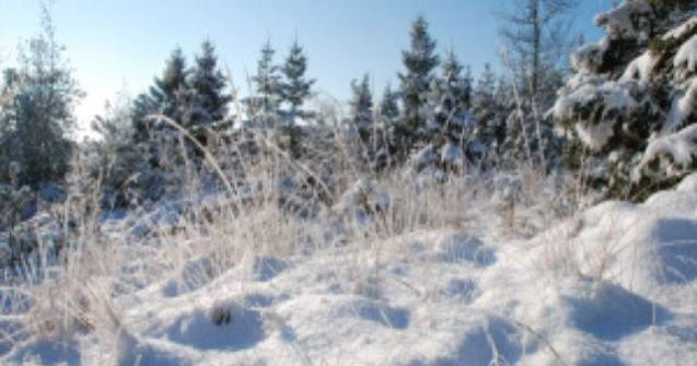 Mii de turisti se afla in acest week-end in statiunile de pe Valea Prahovei