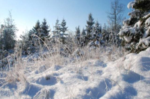 Mii de turisti se afla in acest week-end in statiunile de pe Valea Prahovei