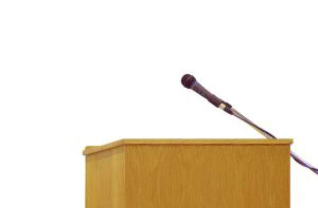 PDL va cere Parlamentului o pozitie oficiala fata de problema steagului secuiesc