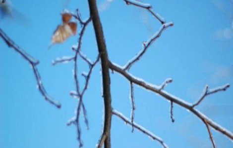 Meteo: Vremea se mai raceste la inceputul saptamanii