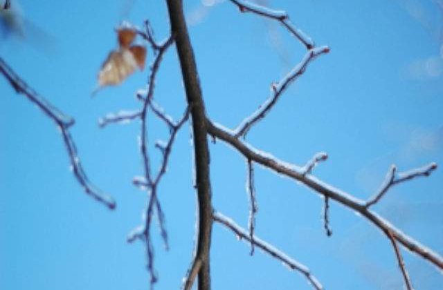 Meteo: Vremea se mai raceste la inceputul saptamanii