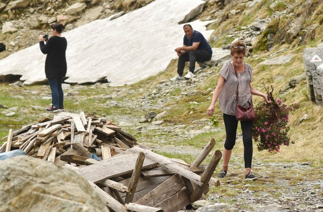 Femeie surprinsă cu o tufă &icirc;ntreagă de bujor de munte &rdquo;pentru acasă.&rdquo; Specia e protejată și nu se reface