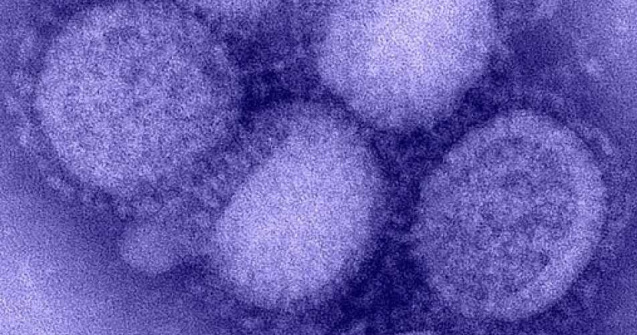 G4 EA H1N1: Un nou tip de gripă cu potențial pandemic, descoperit în China