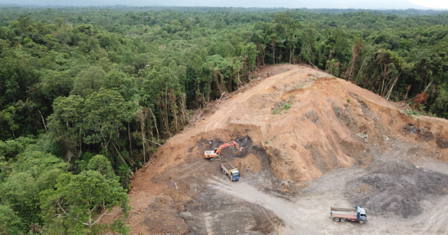 Pădurile din Europa se află în mare pericol!