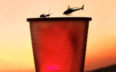 FOTO Au întrecut fotografii...