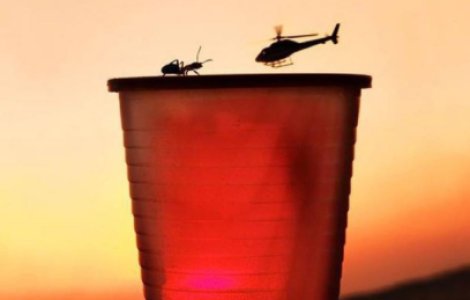  Top  FOTO Persoane care au surprins imagini rare la momentul potrivit