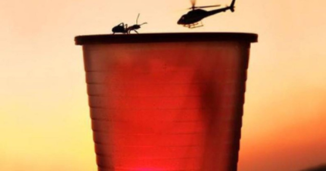  Top  FOTO Persoane care au surprins imagini rare la momentul potrivit