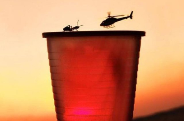 FOTO Au întrecut fotografii profesioniști! Persoane care au surprins imagini rare la momentul potrivit