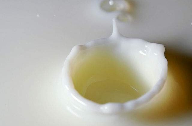 Serbia avertizeaza: Toxina cancerigena din lapte s-ar gasi si la vecini