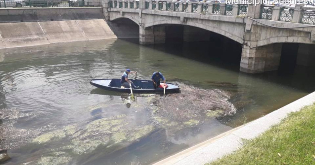 Gabriela Firea, acuzații grave la adresa ministrului Alexe