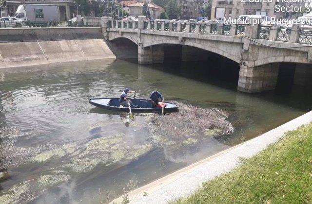 Gabriela Firea, acuzații grave la adresa ministrului Alexe: „Cel mai penibil ministru al mediului!”