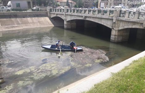 Gabriela Firea, acuzații grave la adresa ministrului Alexe