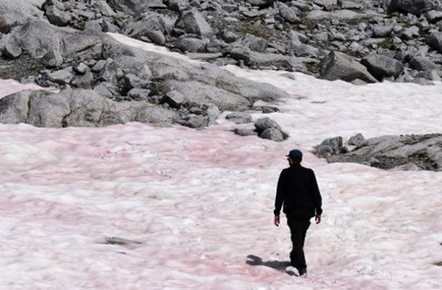 FOTO Apariția misterioasă a zăpezii roz din Munții Alpi ar putea avea consecințe cumplite